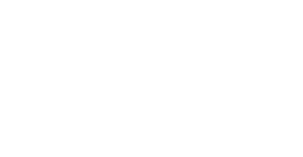 Online shops