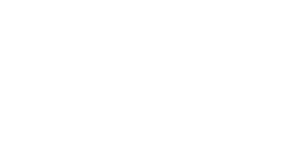 Video system